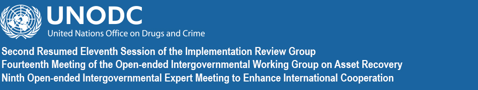 Implementation Review Group, the Working Group on Asset Recovery and the Open-ended Intergovernmental Expert Meeting on International Cooperation