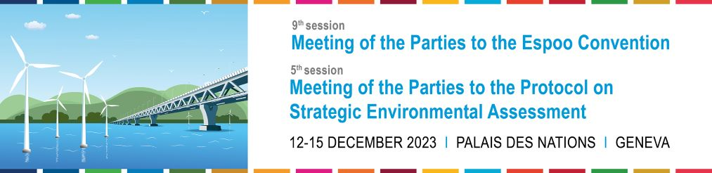 Meetings of the Parties to the Espoo Convention and its Protocol