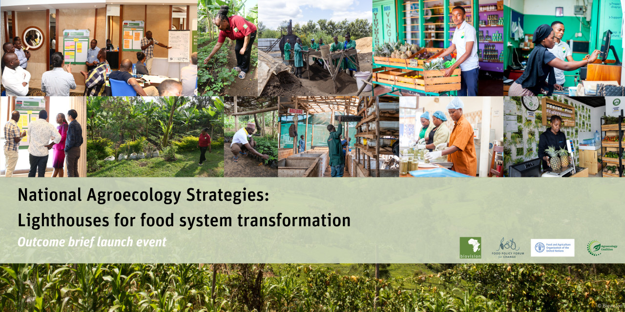 National Agroecology Strategies: Lighthouses for food system transformation - 19 March/ 13:00-14:30 CET