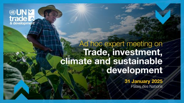 Ad hoc expert meeting on trade, investment, climate and sustainable development