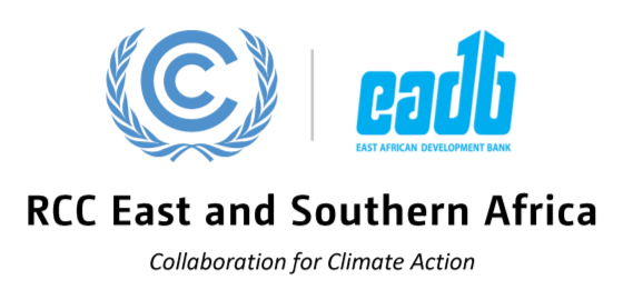 COP 29 Outcomes Webinar Series: Part III: Adaptation and Finance