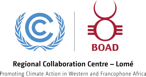 COP29 Outcome Webinar Series on Adaptation Part I: Adaptation and Resilience