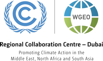 COP29 Outcomes Webinar Series: Inclusive Climate Action