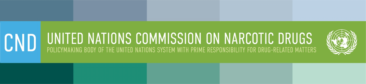 Regional Consultation on Access and Availability of Controlled Substances for Medical and Scientific Purposes in Africa