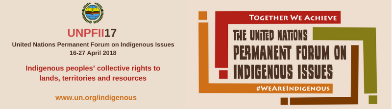 17th session of the UN Permanent Forum on Indigenous Issues (UNPFII17)