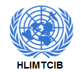 High-level Intergovernmental Meeting on The Critical Issue and Beyond (HLIMTCIB)