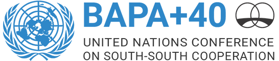 Second High Level UN Conference on South-South Cooperation (BAPA+40) - Special Accreditation Organizations