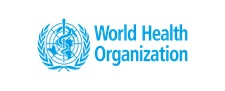 Development of WHO Guidelines for the Prevention of Mother-to-Child Transmission of Hepatitis B Virus Infection