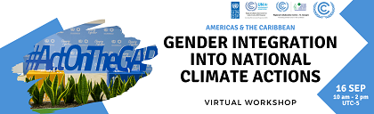 GAP D.6. – Gender integration into national policies – Regional workshop, Americas and the Caribbean