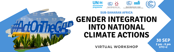UNFCCC Gender Action Plan (GAP) D.6. – Gender integration into national policies – Regional workshop, Sub-Saharan Africa