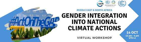 UNFCCC Gender Action Plan (GAP) D.6. – Gender integration into national policies – Regional workshop, MENA