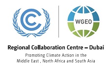AGYLE Webinar Series: The opportunity for a green recovery in the post COVID-19 scenario in the context of the Sustainable Development Goals and the Paris Agreement: The role of Youth