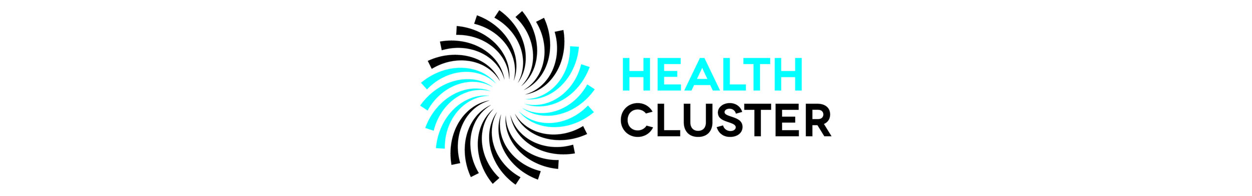 Global Health Cluster Partners Meeting 2022